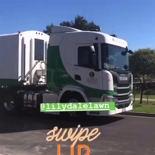 ThatTurfDeliveryGuy on TikTok