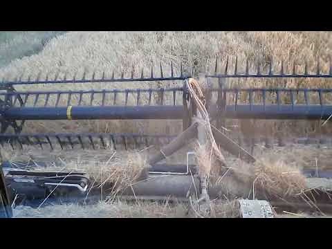 Contour Buddy Cutting a crown beside road