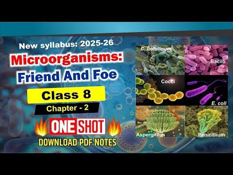 Microorganisms: Friend and Foe | Class 8 Science Chapter 2 | Full NCERT Explanation