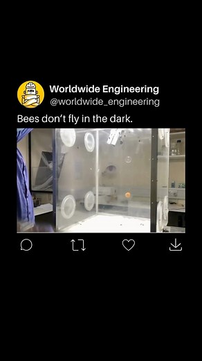 WORLDWIDE ENGINEERING 🌍 on Instagram: "Honey bees and bumble bees exhibit diurnal behavior, meaning they are active during the day and rest at night. The viral video on TikTok and Reddit, captured in Cambridge University Botanic Garden, highlights that these bees cease flying when the lights are turned off, plummeting to the bottom of a container. Unlike a graceful descent, they abruptly stop flying, emphasizing their dependence on light for flight. While most bees, including honey bees and bum