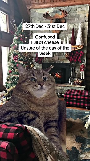 Happy Cheese Week, Y’all #MemeCut #christmas #millenialsoftiktok #Meme