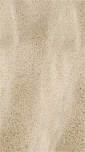 SUMMER EXPERIENCE 2026 is just around the corner! 🔥 This January, the ultimate dance event of the year lands on the sunny Gold Coast. For one explosive week, 21 world-class choreographers and international guest artists bring next-level training, insane energy, and an atmosphere you won’t find anywhere else. Experience Summer the Dynamite way ☀️ 💃🏿 🏖️ This is where dancers worldwide come together to level up, connect, and make Summer unforgettable. With a line-up like this? Tickets are selli