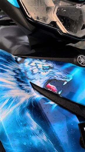 ❄️#bikersoftiktok#y15zr #150cc #bikelover #laamukudhun🌴 #foryoupageofficiall