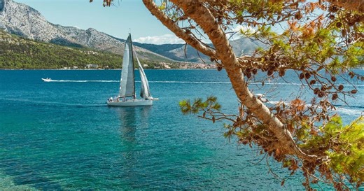 Click&Boat, le champion français qui démocratise la plaisance et dynamise l’économie du nautisme