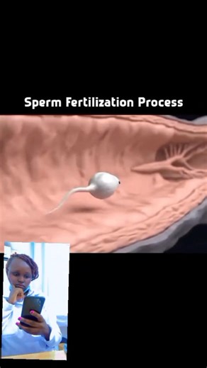 how conception happen#wellness #fblifestyle | Living Healthy