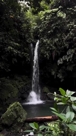 Secret Bay Resort: A Slice of Surreal Paradise