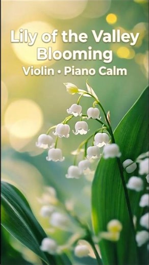 Lily of the Valley Bloom | Visual Satisfaction