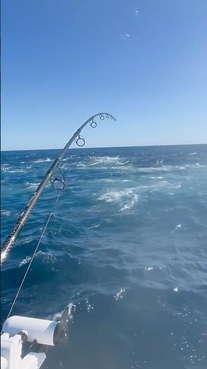Putting HÖWK to the test on an absolute screamer!