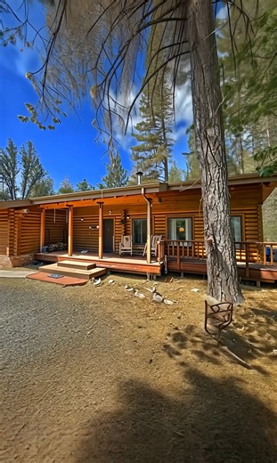 3.1K views · 31 reactions | Beautiful Woodland Log Cabin With a Hidden Interior Masterpiece | My Cozy Cabin | Facebook