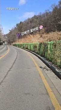 #가수강혜연 꽃바람 #강혜연 #꽃바람 #현역가왕3