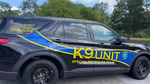 More video from Augusta Mall, site of reported shooting | News 12 26 Augusta