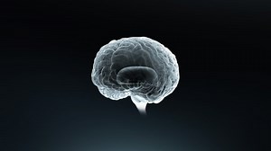 Concept Artificial Intelligence Digital Brain Computing Stock Footage Video (100% Royalty-free) 1037670173 | Shutterstock