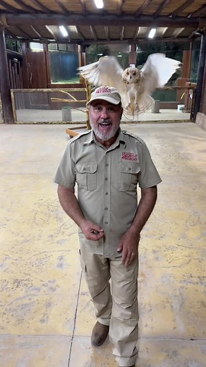 TikTok - Make Your Day