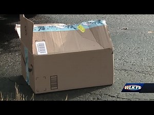 Neighbor catches suspected porch pirates, holds one at gunpoint