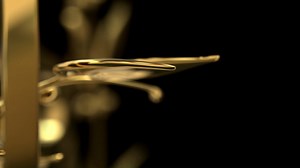 Get into the festive mood with this wonderful arrangement of „Locus Iste” composed by Anton Bruckner and performed by double bass players Christoph Wimmer, Filip Waldmann, Alexander Matschinegg, and Valerie Schatz in the beautiful Brahms-Hall of Musikverein Wien! | Vienna Philharmonic / Wiener Philharmoniker