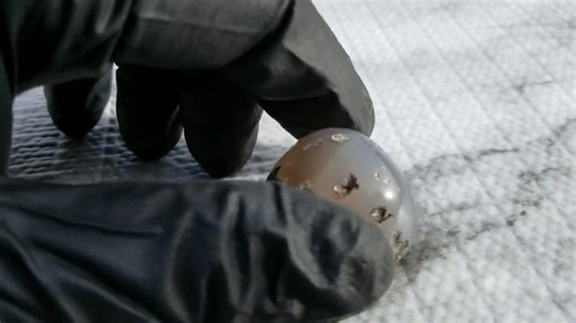 351, Blue Agate, Agate Nodule, Polished Agate, Tumbled Agate, Agate Stone, Agate Gemstone, Rock Gifts, Polished Rocks, Montana Rockhounding - Etsy