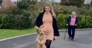 Dog goes viral as he excitedly bounces up and down on walks