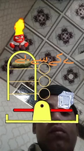 Zarqawi Zarqawi on TikTok