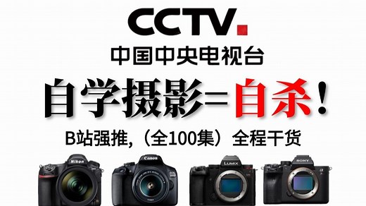 【摄影教程】B站强推！目前最适合零基础入门的摄影系统教程，整整100集，从相机操作开始讲起，全程通俗易懂，别再盲目自学了！