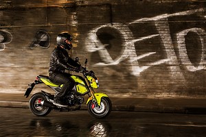 Honda Grom: Beginner Bike Profile   Owner Reviews