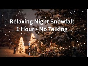 1 Hour Cozy Winter Snowfall ASMR ❄️🎄 | Relaxing Night Ambience for Sleep & Study | No Talking