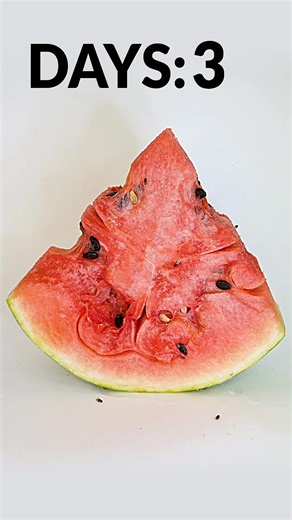 Is this Watermelon alive? 🤯🍉 #timetreats #watermelon #timelapse