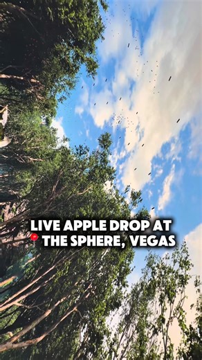 Jass and Simran on Instagram: "Follow @jassincanada for more such videos✨ “The Sphere show” refers to the immersive entertainment experiences at the Sphere in Las Vegas, featuring massive wraparound 16K LED screens, 3D audio, and sensory effects like rumble seats and smells with 5D experience. We watched the Wizard of Oz show and it was magical 🧙 🪄 (Travel, Vegas Itinerary, Sphere Itinerary, Save, Budget friendly, travel videos, Vegas strip, Viral vegas content, Content Creation) #vegas #wizar