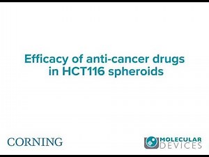 Efficacy of anti-cancer drugs in HCT116 spheroids