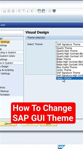 How To Change SAP GUI Theme in 1 Minute|Easy Steps|Must Know!#sap #theme #shorts #viral #trending