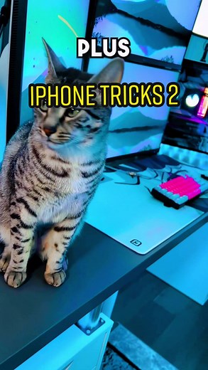 Joey Urbinati on TikTok