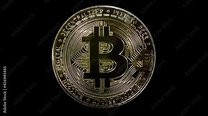 On a black background, golden color, metallic Bitcoin coin is glitters in the rays of light. Hodl, Hodler - Internet meme, slang name for those who buy cryptocurrencies and hold them. Macro. Closeup