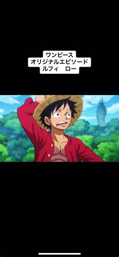 ワンピースオリジナルエピソード：ルフィとローの冒険