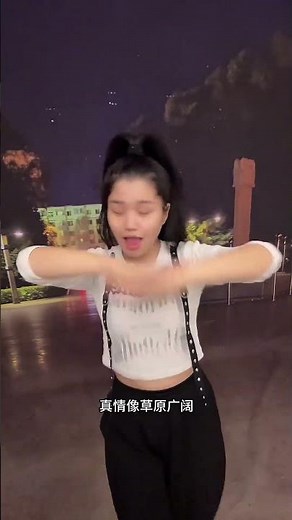 Chinese Classic A Spray of Plum Blossoms Finger Dance Fengbao's Graceful Cover