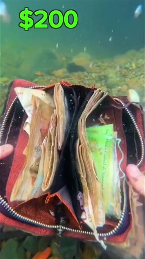 #underwater #fyp #satisfying #scubadiving #treasure .................................#trader #travel #love #finance #followers #photographer #photography #photoshoot #bestphotochallenge ................🎄🤗😍 | Carter-69