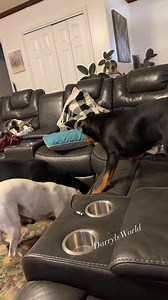 210K views · 13K reactions | Why Chilrenns Won't Lay Down When They Sleepy 臘‍♂️ #FixItJeezuh | Darryl’s World | Facebook