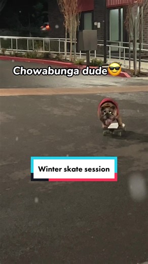 Chowder the Skateboarding Dog Enjoys a Winter Skate Session