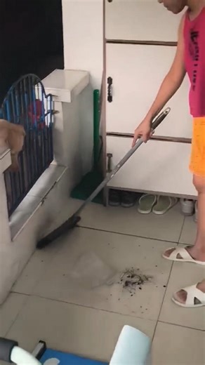 when ur dog checks if it's spotless 😅