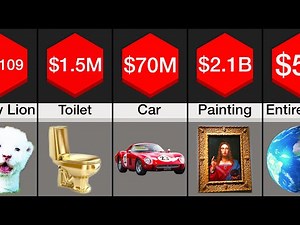 Comparison: Most Expensive Things