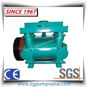 [Hot Item] China Well-Known Brand Liquid Water Ring Vacuum Pump & Compressor/Coarse Vacuum Pump for Power Plant
