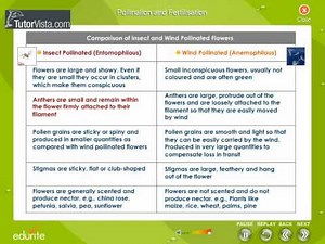 Pollination And Fertilisation