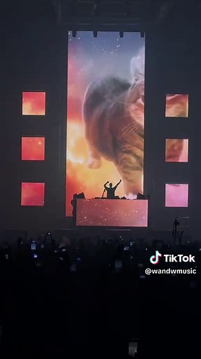 OIIA Cat Rave Experience: VJ Behind the Scenes