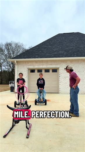 You will be PERFECT #homeschool #homeschooling #christiantiktok #christian #humortiktok