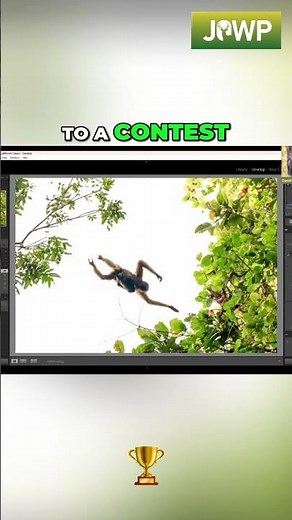 Monkey Photo Editing From Dark to Dazzling in SECONDS!