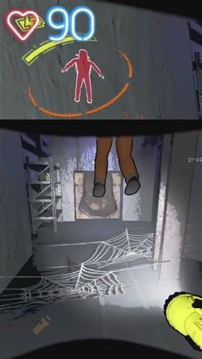 Fox gets scared by a spider again xD