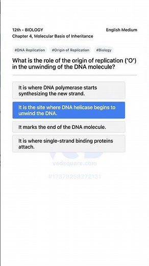 DNA Replication Origin Explained BIOLOGY 12th