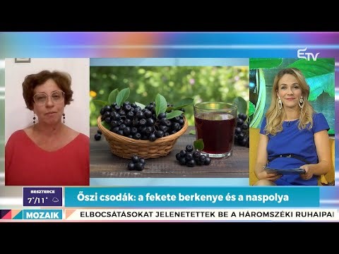 Őszi csodák: a fekete berkenye és a naspolya – Mozaik