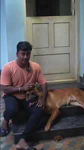 Dog traning tamil #tamil #dog #jananayagan