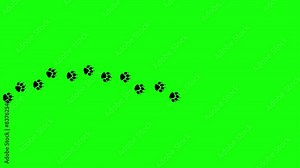 Paw footprint animation on green screen. Dog foot footage, Cat feet video, puppy pet footprint walk, Animated Animal foot print icon in 4k