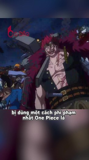 Bo Kin Anime trên TikTok