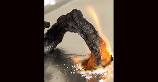 重曹と砂糖に火を付けるとどうなる？　黒いウニョウニョが生まれる実験がシンプルながら興味深い（1/2） | ねとらぼ